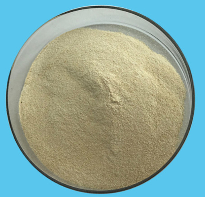Gelatine-Pulver CASs 9000-70-8 Halal Stabilisator-PH6.5