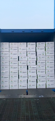 Cream Colored 1200cps Stabilizing Agent 200mesh Xanthan Gum Bulk