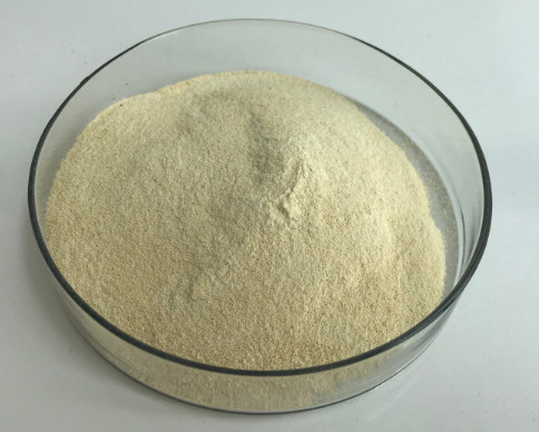 Gelatine-Pulver CASs 9000-70-8 Halal Stabilisator-PH6.5