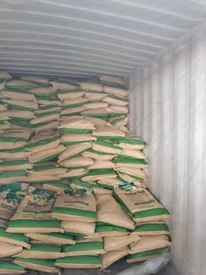 1600cps Stabilizing Agent CAS 11138-66-2 Xanthan Gum Natural